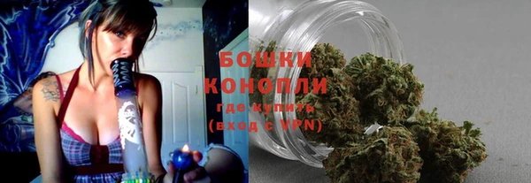 марки lsd Пересвет