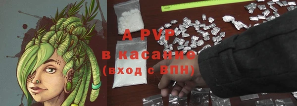 марки lsd Пересвет