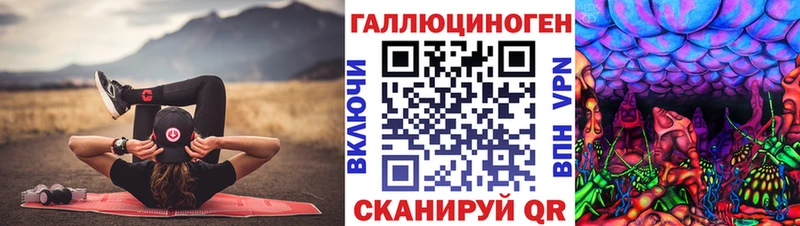 Купить где  Южа  Псилоцибиновые грибы Psilocybine cubensis 